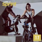 SPRINT #17