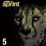 SPRINT #5