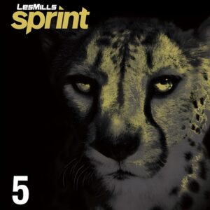 SPRINT #5