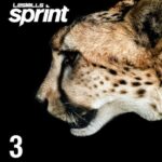 SPRINT #3
