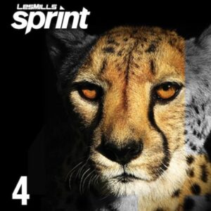 SPRINT #4